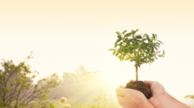 праздники Израиля