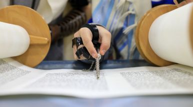 мальчик читает Тору