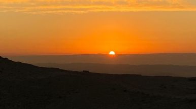 история репатриации Дарьи Валиевой