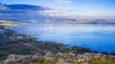 гранты для репатриантов галилеи