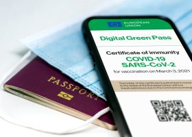 Отменят ли зелёные паспорта в Израиле?