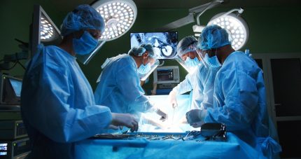 трансплантология в Израиле